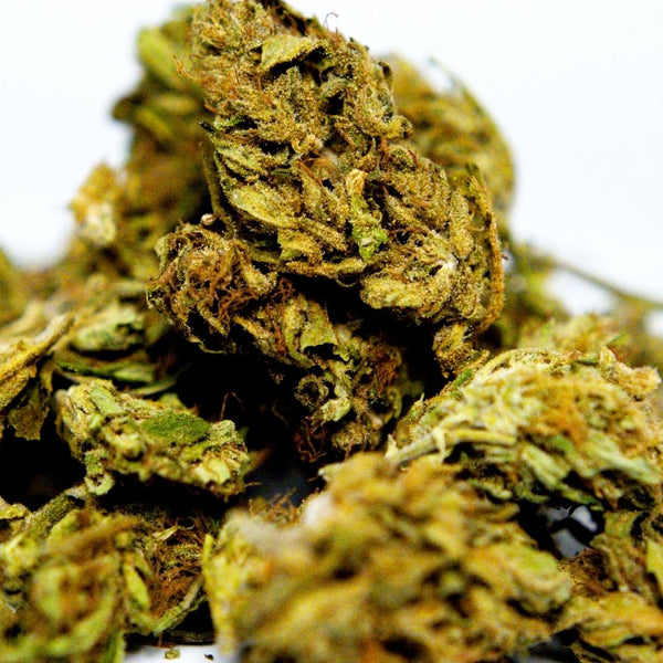 Zoom sur fleur CBD Elektra. Détails des trichomes et pistils, texture dense et résineuse, variété de chanvre contrôlée et conforme à la législation.