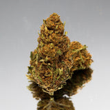 Gros plan sur la Fleur de CBD Harlequin Bio de Gr33nz, mettant en valeur ses bourgeons denses et ses teintes naturelles sur un fond réfléchissant.