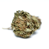 Fleur CBD Harlequin en photo produit. Têtes séchées aux nuances vertes et orangées, chanvre cultivé dans le respect de la réglementation en vigueur.