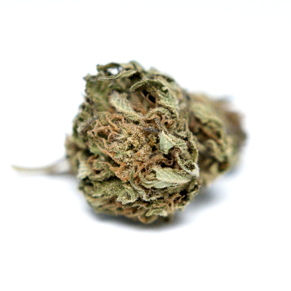 Fleur CBD Harlequin en photo produit. Têtes séchées aux nuances vertes et orangées, chanvre cultivé dans le respect de la réglementation en vigueur.