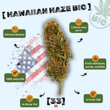 Fleur de CBD Hawaiian Haze Bio de Gr33nz, cultivée sous serre, offrant un arôme fruité, sucré et acidulé. 100 % naturelle avec 14 % de CBD et moins de 0,3 % de THC.