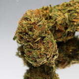 Gros plan de la fleur de CBD Hawaiian Haze Bio de Gr33nz, aux teintes vertes et orangées, cultivée sous serre pour une qualité premium.