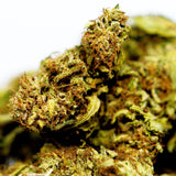 Zoom fleur CBD Hawaiian Haze. Détails précis des trichomes et bourgeons, variété issue de chanvre industriel conforme à la législation.