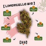 Infographie de la Fleur de CBD Limoncello Bio de Gr33nz, cultivée sous serre, aux arômes d'agrumes, avec 15% de CBD et moins de 0,3% de THC