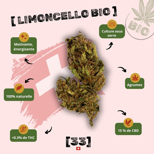 Infographie de la Fleur de CBD Limoncello Bio de Gr33nz, cultivée sous serre, aux arômes d'agrumes, avec 15% de CBD et moins de 0,3% de THC