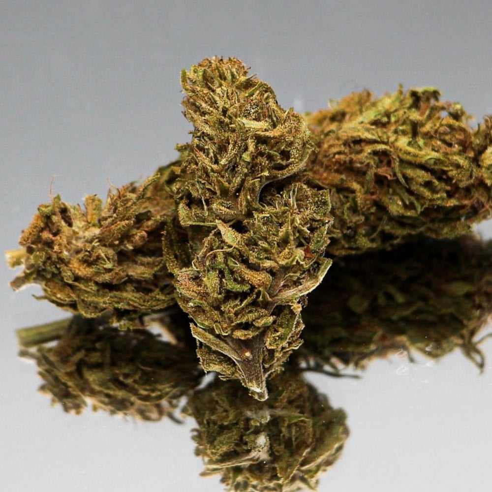 Photo en gros plan de la Fleur de CBD Limoncello Bio de Gr33nz, aux arômes d'agrumes, cultivée sous serre, avec un reflet miroir élégant.