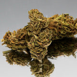 Photo en gros plan de la Fleur de CBD Limoncello Bio de Gr33nz, aux arômes d'agrumes, cultivée sous serre, avec un reflet miroir élégant.