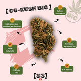Fleur de CBD OG Kush Bio de Gr33nz, cultivée sous serre avec des arômes terreux, d’agrumes et de pin. Effet relaxant et soulagement des tensions.