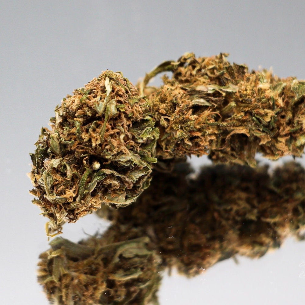 Gros plan sur la fleur de CBD OG Kush Bio de Gr33nz, aux arômes terreux et boisés, cultivée sous serre pour un effet relaxant optimal.