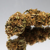 Gros plan sur la fleur de CBD OG Kush Bio de Gr33nz, aux arômes terreux et boisés, cultivée sous serre pour un effet relaxant optimal.