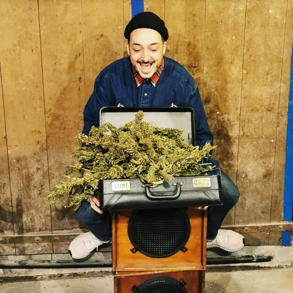 Photo du chanteur Rico du groupe OBF ouvrant une valise pleine de fleurs de CBD gr33nz.com.