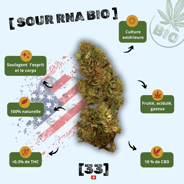 Fleur de CBD Sour RNA Bio de Gr33nz, issue d'une culture extérieure naturelle, offrant des arômes fruités et acidulés avec 10 % de CBD et moins de 0,3 % de THC.