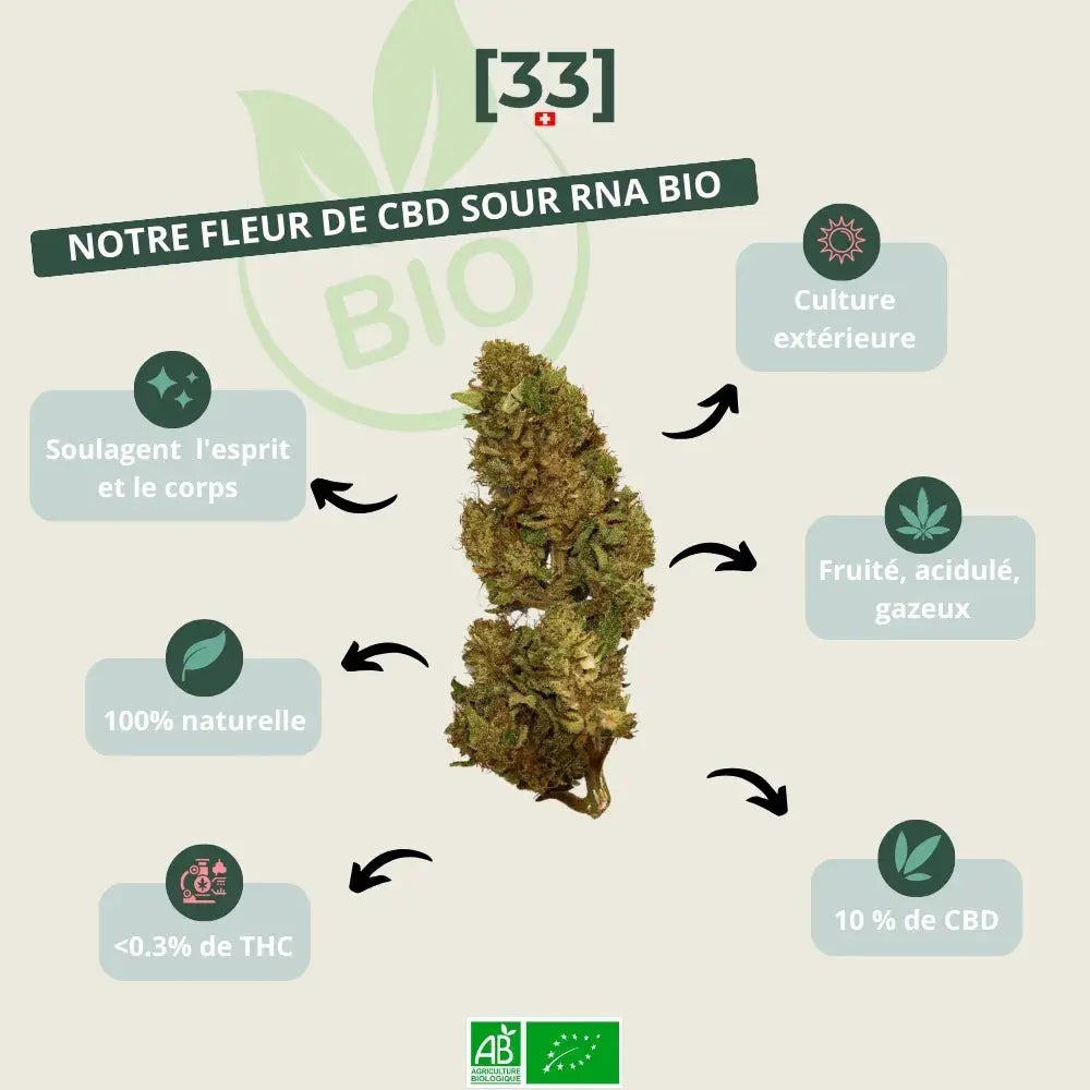 Fleur de CBD Sour RNA Bio de Gr33nz, issue d'une culture extérieure naturelle, offrant des arômes fruités et acidulés avec 10 % de CBD et moins de 0,3 % de THC.