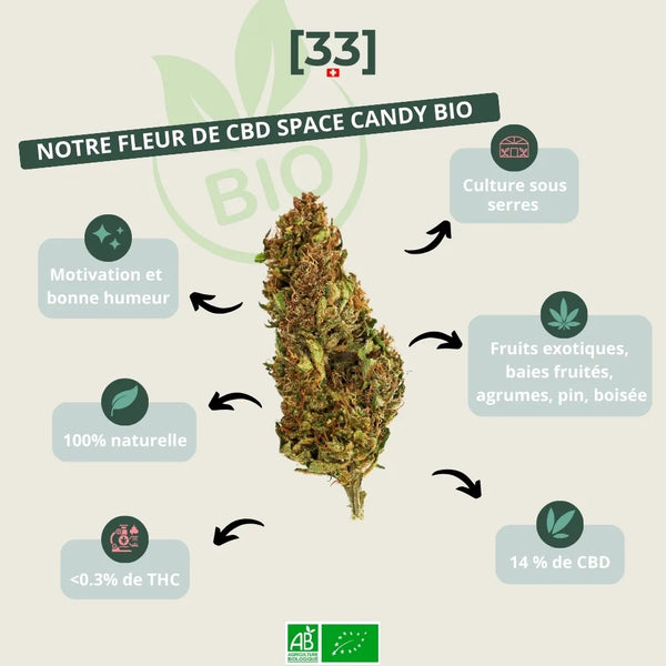 Fleur de CBD Space Candy Bio Gr33nz, cultivée sous serre, avec 14 % de CBD et moins de 0,3 % de THC, aux notes fruitées, boisées et agrumes pour une bonne humeur garantie.