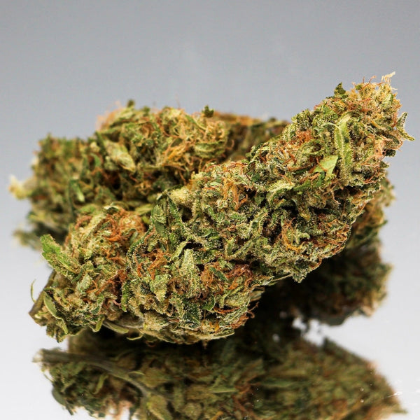 Gros plan sur la fleur de CBD Space Candy Bio de Gr33nz, riche en arômes fruités et boisés, avec 14 % de CBD et une culture sous serre pour une qualité optimale.