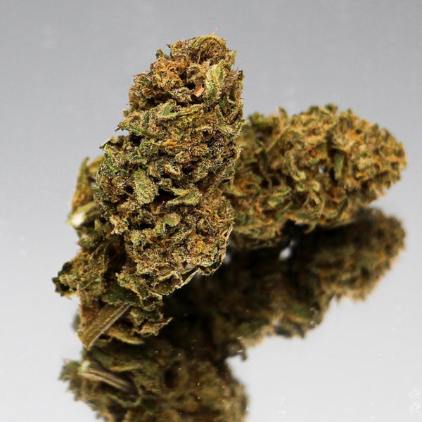 Photographie macro de la fleur CBD Strawberry Bio GR33NZ. Culture sous serre selon des standards biologiques, présentant des bourgeons compacts et résineux. Profil aromatique doux et fruité, mêlant des notes de fraise et de baies rouges. Teneur en CBD de 11 %, THC inférieur à 0,3 %.