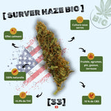 Fleur de CBD Surver Haze Bio Gr33nz, cultivée sous serre, avec un effet calmant, un arôme fruité aux notes d'agrumes, de pin et de terre, et une concentration de 10 % de CBD.gr33nz.com