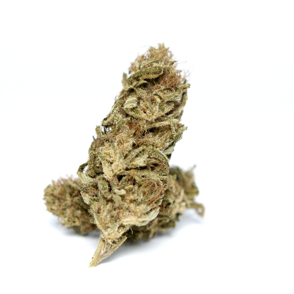 Fleur CBD Surver Haze en photo produit. Têtes denses aux teintes vert clair, chanvre sélectionné et conforme à la législation en vigueur.