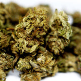 Zoom fleur CBD Surver Haze. Détails des bourgeons et texture résineuse, variété issue de chanvre industriel contrôlé et légal.