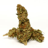 Fleur CBD Yuzu Orange en packshot. Têtes résineuses aux nuances vertes et orangées, variété de chanvre conforme à la réglementation.