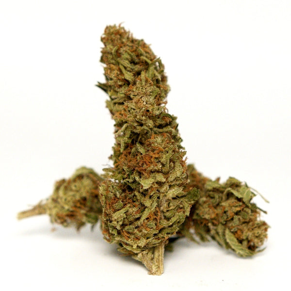 Fleur CBD Yuzu Orange en packshot. Têtes résineuses aux nuances vertes et orangées, variété de chanvre conforme à la réglementation.