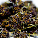 Zoom fleur CBD Yuzu Purple. Détails des bourgeons résineux et trichomes visibles, chanvre contrôlé et conforme aux standards européens.