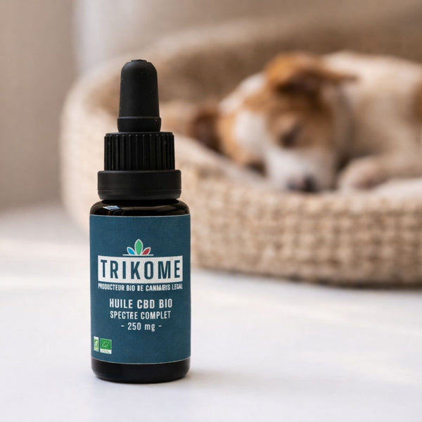 Flacon d'huile de CBD Bio Trikome 250 mg à spectre complet, spécialement formulé pour le bien-être et la sérénité des animaux de compagnie.