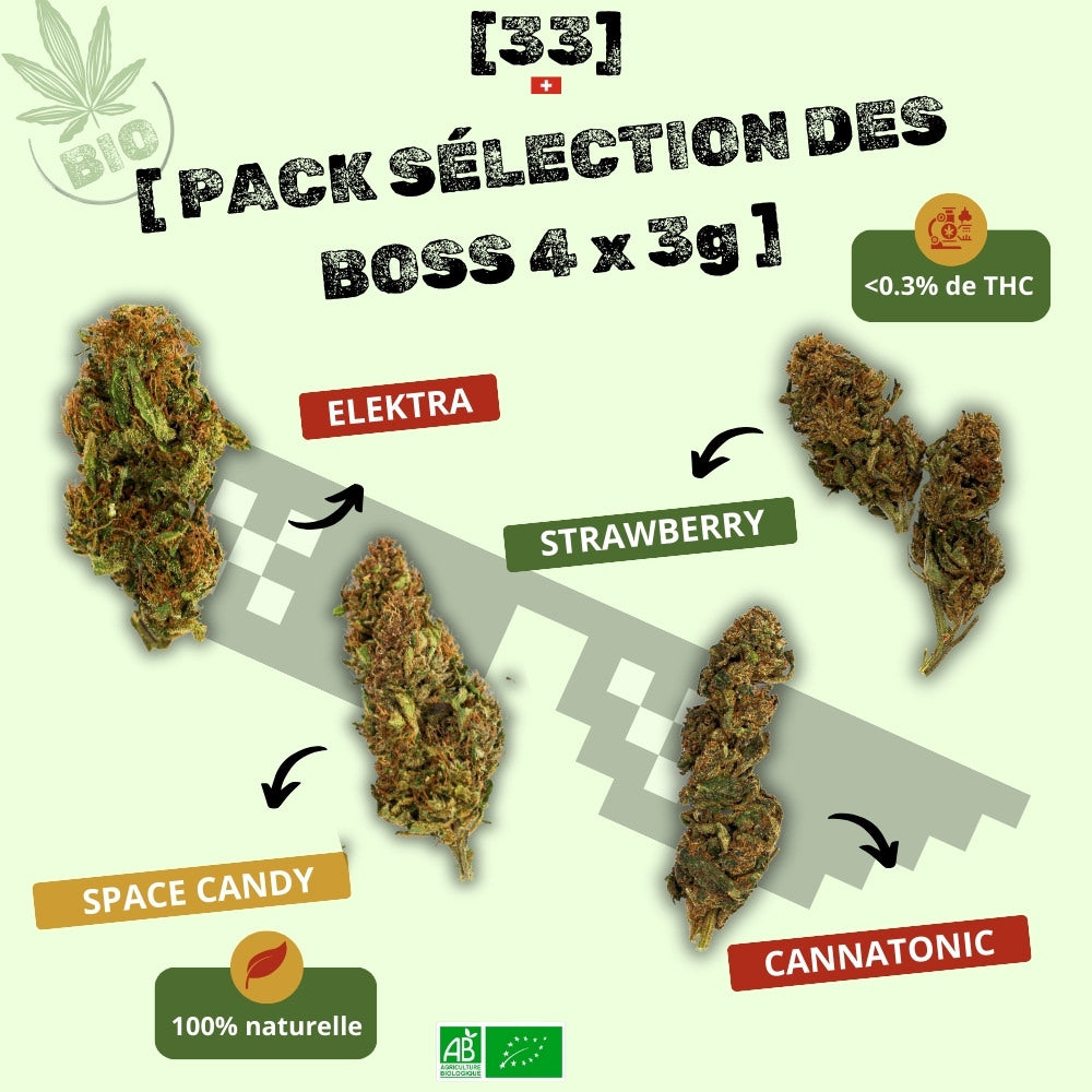 Visuel du Pack Sélection des Boss CBD 4 x 3g de Gr33nz, incluant 3g de Space Candy, 3g d’Elektra, 3g de Strawberry et 3g de Cannatonic. Une sélection premium de fleurs CBD bio, 100% naturelles et à moins de 0,3% de THC.