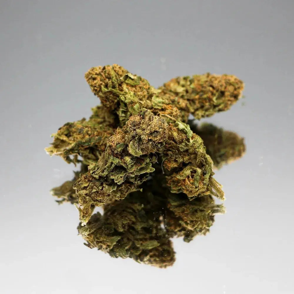 Photo en gros plan de la fleur de CBD Cannatonic Bio de Gr33nz, présentant une texture dense et une couleur verdoyante avec des reflets orangés, mise en valeur sur un fond miroir.