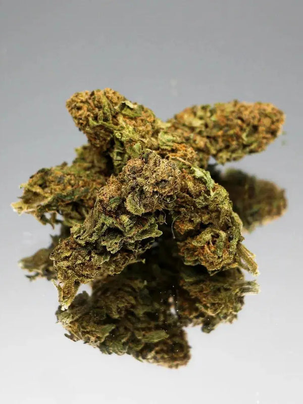 Photo en gros plan de la fleur de CBD Cannatonic Bio de Gr33nz, présentant une texture dense et une couleur verdoyante avec des reflets orangés, mise en valeur sur un fond miroir.