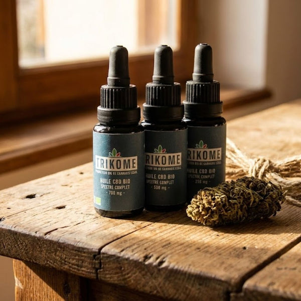 Infographie expliquant l'action du CBD sur la réduction du cortisol et l'amélioration de la qualité du sommeil pour combattre le stress et la fatigue.