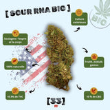 Fleur de CBD Sour RNA Bio de Gr33nz, issue d'une culture extérieure naturelle, offrant des arômes fruités et acidulés avec 10 % de CBD et moins de 0,3 % de THC.
