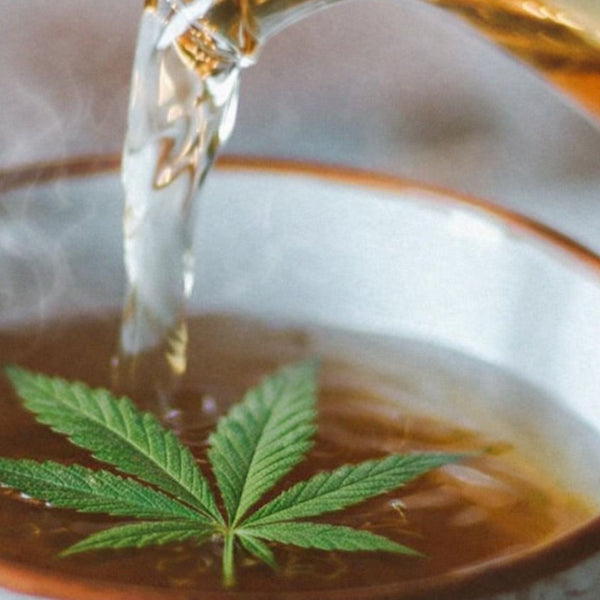 Eau chaude versée dans une tasse de tisane CBD avec feuille de chanvre visible, infusion naturelle au chanvre en préparation.