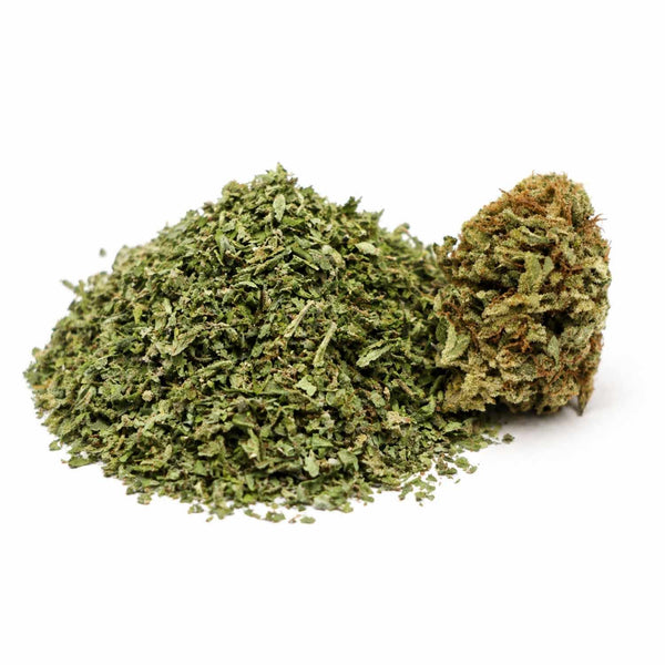 Trim CBD Hawaiian Haze avec sa fleur CBD sur fond blanc, présentant un tas de trim vert finement broyé accompagné d’une tête de fleur compacte et résineuse.
