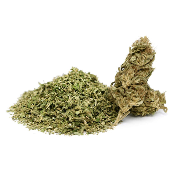Trim CBD Surver Haze avec sa fleur CBD sur fond blanc, présentant un tas de trim fin vert clair accompagné d’une tête de fleur allongée et résineuse.