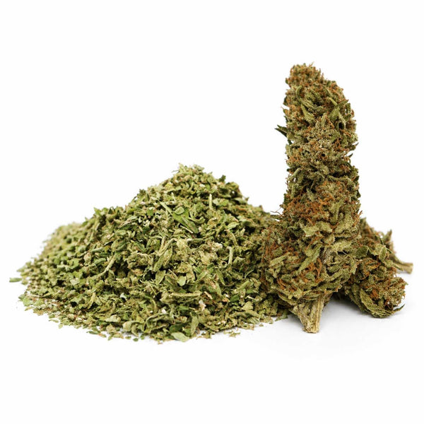 Trim CBD Yuzu Orange avec sa fleur CBD sur fond blanc, montrant un tas de trim vert clair accompagné d’une tête de fleur allongée aux pistils orangés.