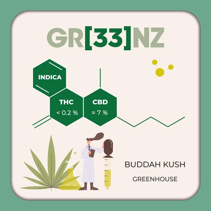 Gr33nz CBD : Buddah Kush (USA)